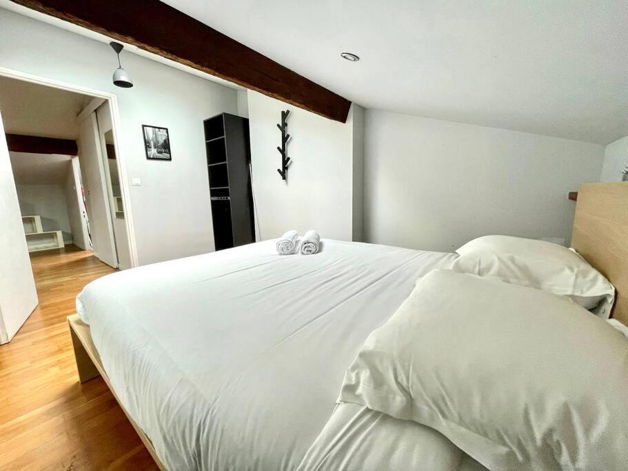 Le Charmeur - Appartement Climatise Avec 2 Chambres - Hypercentre Toulouse Eksteriør bilde